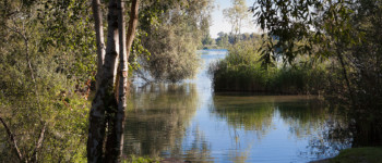 Plan d’eau de la Ballastière