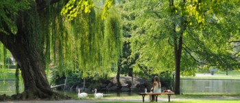 Photographie d'un parc verdoyant avec un petit lac et des cygnes, une personne est assise sur un banc